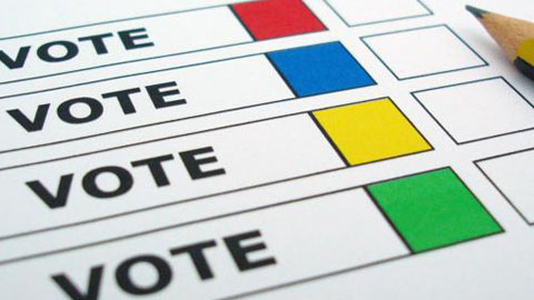 political poll  Meme Template