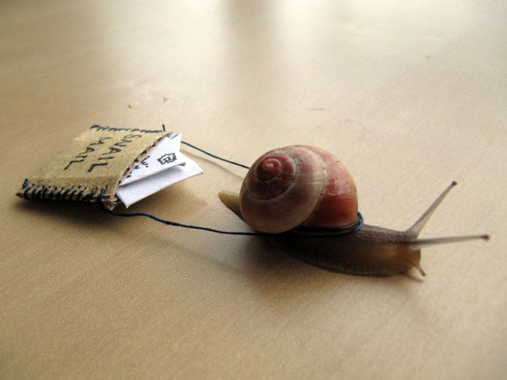 Snail Mail  Meme Template
